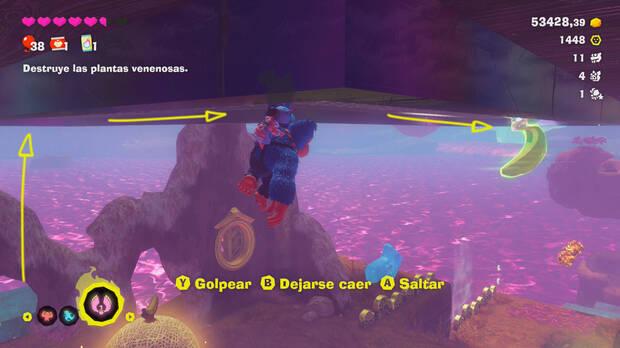 Donkey Kong Bananza - Ubicación del plátano 64 en Estrato del bosque