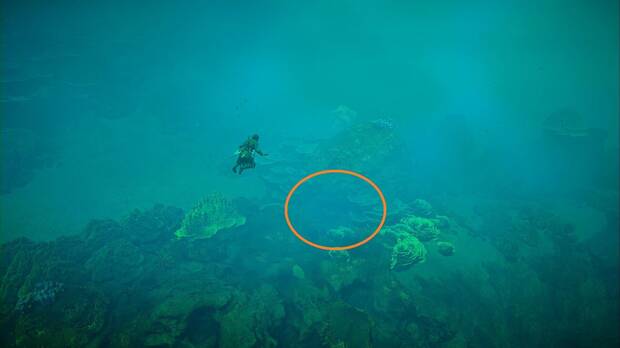 Assassin's Creed Black Flag Resynced - Cofres en Chinchorro, ubicaci�n del cofre secreto bajo el agua que contiene el Atuendo de Explorador