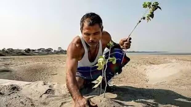 Bosque especial de India
