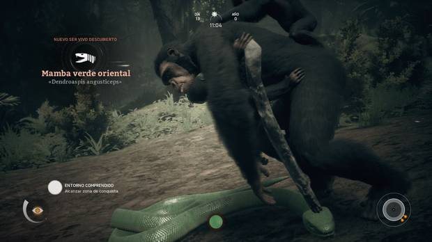 El sistema de combate - Ancestors The Humankind Odyssey
