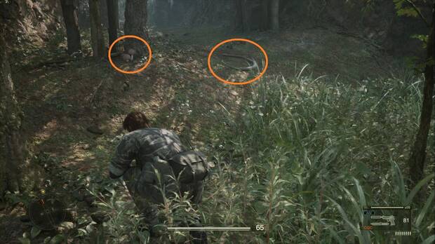 Metal Gear Solid Delta - Misión Virtuosa, ubicación de la Spt. G (Anaconda gigante) y la R. Set. C (Seta de tinta)