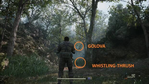 Metal Gear Solid Delta - Misión Virtuosa, ubicación de la R. Frt. C (Golova) y el Whistling-Thrush en el sendero donde patrullan los soldados