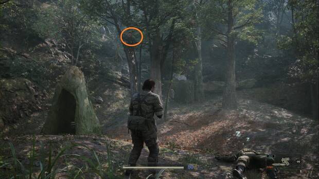 Metal Gear Solid Delta - Misión Virtuosa, ubicación de la fruta Yabloko moloko en el claro