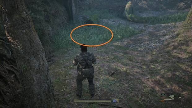 Metal Gear Solid Delta - Misión Virtuosa, ubicación de las Urracas en el desvío antes del final del norte de Dremuchij