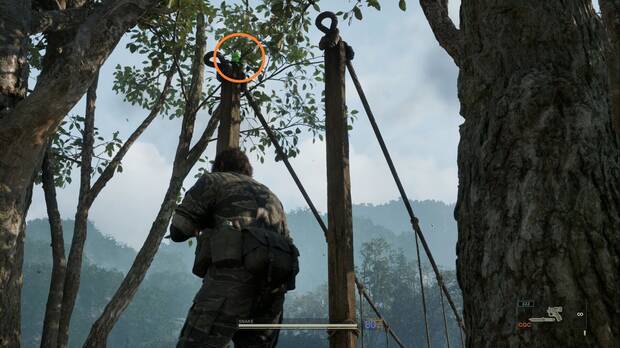 Metal Gear Solid Delta - Misin Virtuosa, ubicacin de la rana Kerotan #4 sobre uno de los pilares del puente en Dolinovodno