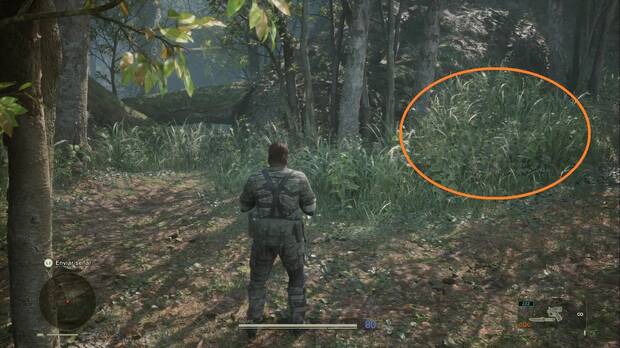 Metal Gear Solid Delta - Misión Virtuosa, ubicación de la Rna. B (Rana arborícora)