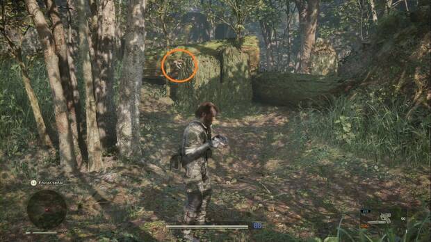 Metal Gear Solid Delta - Misión Virtuosa, ubicación de la R. Set. A (Ostra rusa) en el tocón de un árbol