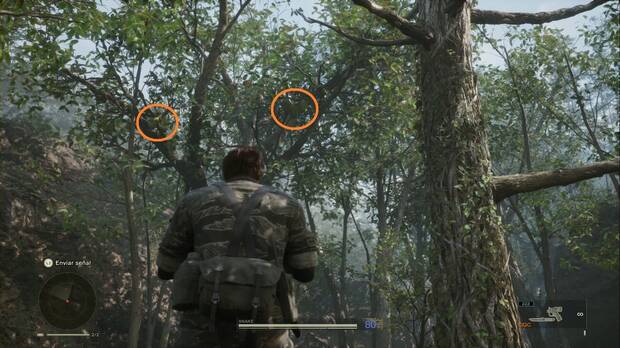 Metal Gear Solid Delta - Misión Virtuosa, ubicación de la R. Frt. B (Mango falso ruso) en un árbol junto al árbol de la mochila