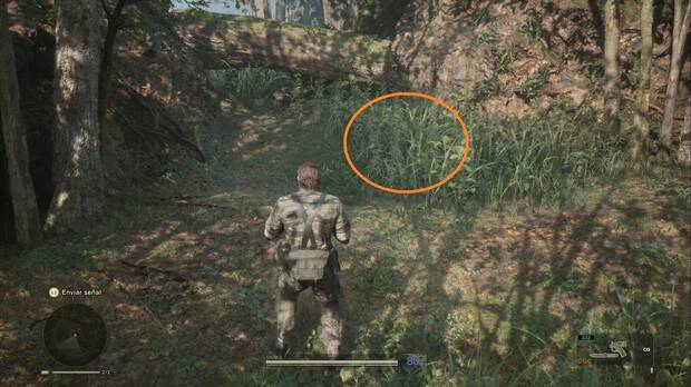 Metal Gear Solid Delta - Misión Virtuosa, ubicación de la Spt. H. (Pitón reticulada) junto al tronco de la parte inicial