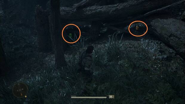 Metal Gear Solid Delta - Dremuchij, ubicacin del GA-KO #6 y la Kerotan #6 en el Este de Dremuchij, bajo un rbol cado