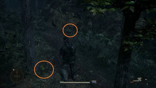 Metal Gear Solid Delta - Dremuchij, ubicación de la Planta Desinfectante y la Planta Medicina para el resfriado