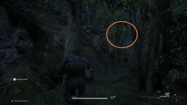 Metal Gear Solid Delta - Dremuchij, ubicación de la Pitón verde de árbol colgando de un árbol en el Norte de Dremuchij