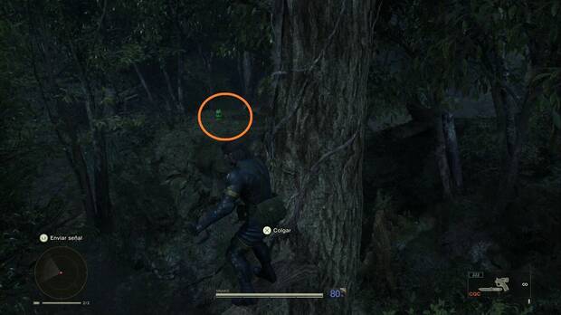 Metal Gear Solid Delta - Dremuchij, ubicacin de la Kerotan #7 en lo alto del rbol escalable en el Norte de Dremuchij