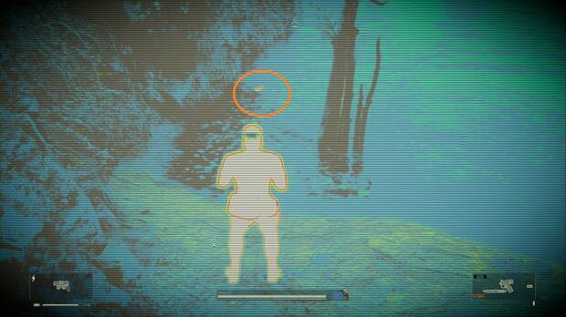 Metal Gear Solid Delta - Chyornyj Prud, ranas nadando por la orilla del pantano