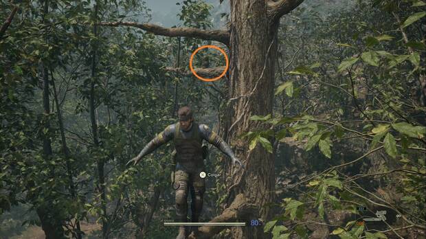 Metal Gear Solid Delta - Bolshaya Past, ubicacin del GA-KO #13 sobre el rbol que usas para pasar sobre la segunda valla electrificada