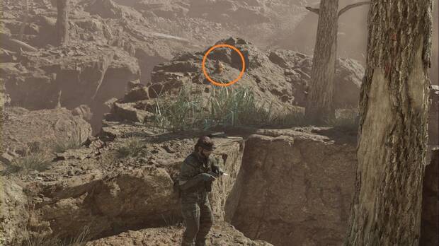 Metal Gear Solid Delta - Bolshaya Past, ubicacin del GA-KO #15 en la zona oeste de la Grieta de Bolshaya Past