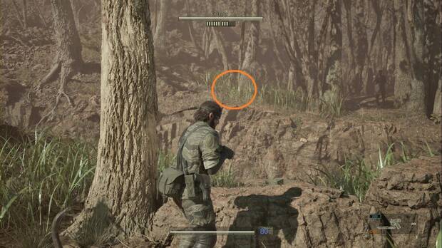 Metal Gear Solid Delta - Bolshaya Past, ubicacin de la Kerotan #15 en la zona este de la Grieta de Bolshaya Past