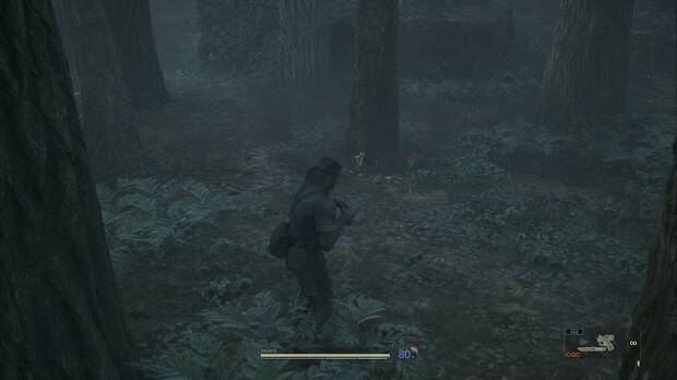 Metal Gear Solid Delta - Graniny Gorki, ubicación de las oronjas rojas en Graniny Gorki