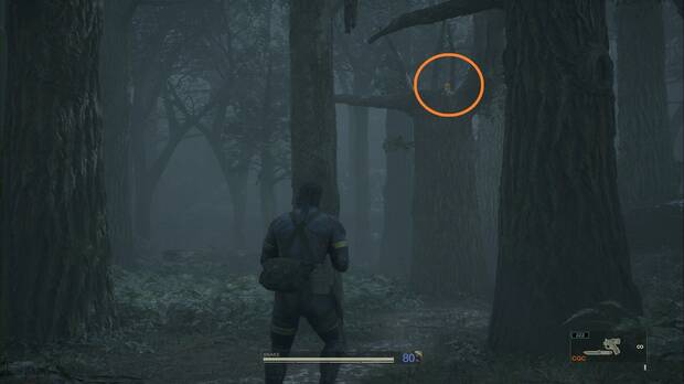 Metal Gear Solid Delta - Graniny Gorki, ubicación del GA-KO #23 sobre un árbol del bosque