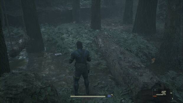 Metal Gear Solid Delta - Graniny Gorki, ubicación del Libro en el suroeste de Graniny Gorki