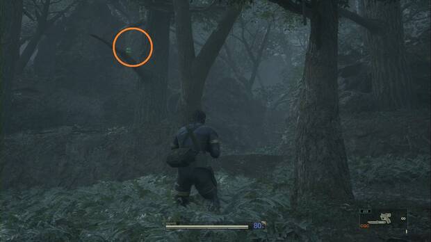 Metal Gear Solid Delta - Graniny Gorki, ubicación de la Kerotan #23 en las ramas de un árbol junto a la salida del bosque