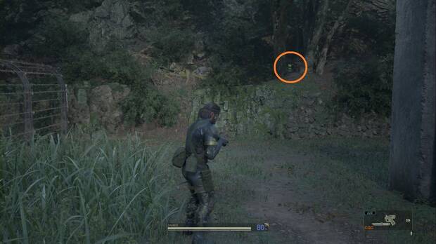 Metal Gear Solid Delta - Graniny Gorki, ubicación de la Kerotan #24 en los árboles al oeste del exterior de Graniny Gorki