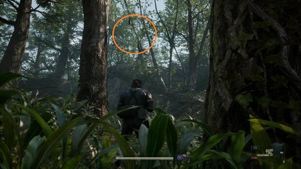 Metal Gear Solid Delta - Svyatogornyj, melón de viña colgando de unas lianas