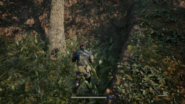 Metal Gear Solid Delta - Svyatogornyj, ubicación de la seta Herricio escam. Baikal en el árbol junto a la pendiente