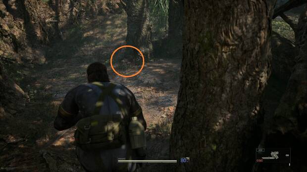 Metal Gear Solid Delta - Svyatogornyj, ubicación de la Seta luminisc. urales en la base de un árbol roto