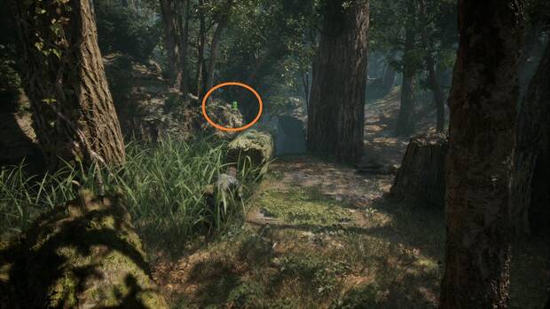 Metal Gear Solid Delta - Svyatogornyj, ubicacin de la Kerotan #30 sobre unas rocas