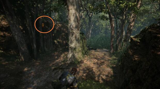 Metal Gear Solid Delta - Svyatogornyj, ubicacin del GA-KO #30 sobre los restos del tronco de un rbol