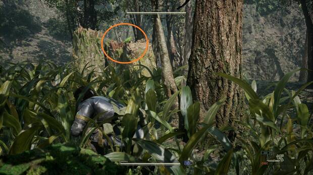 Metal Gear Solid Delta - Sokrovenno, loro de The End sobre un árbol al comenzar el combate