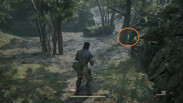 Metal Gear Solid Delta - Sokrovenno, ubicacin de la Kerotan #34 tras un rbol del margen sur