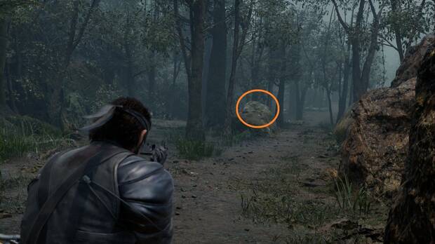 Metal Gear Solid Delta - Lazorevo, Kerotan #61 sobre una roca en el lado izquierdo del sendero del norte de Lazorevo