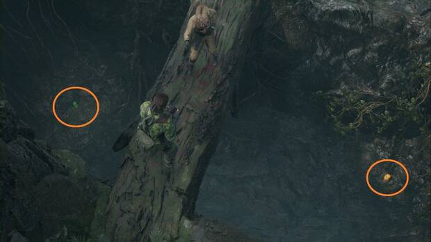 Metal Gear Solid Delta - Zaozyorje, GA-KO #62 y Kerotan #62, uno a cada lado del tronco del rbol del desvo suroeste