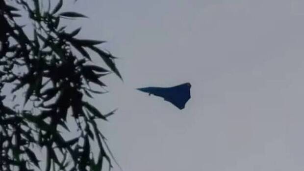 China y su caza furtivo