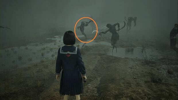 Silent Hill f - Rompecabezas del campo, espantapájaros correcto de la segunda zona en dificultad Historia