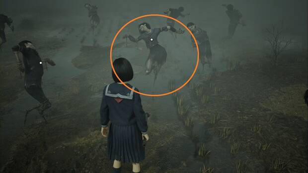 Silent Hill f - Rompecabezas del campo, espantapájaros correcto de la cuarta zona en dificultad Historia