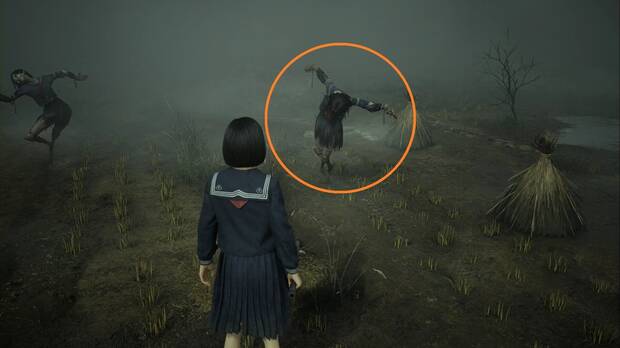 Silent Hill f - Rompecabezas del campo, espantapájaros correcto de la quinta zona en dificultad Historia