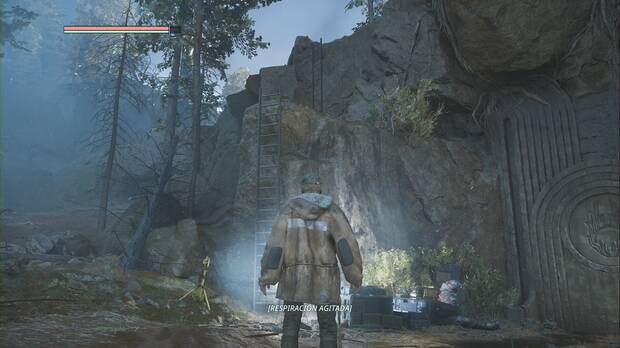 Hell is Us - Bosque de Senedra, escalera de mano por la que continuar