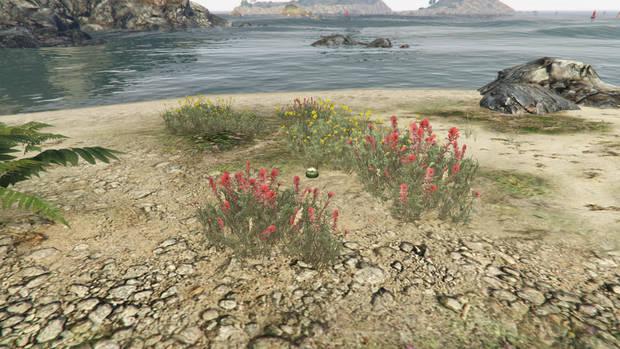 GTA Online - Planta de peyote #64