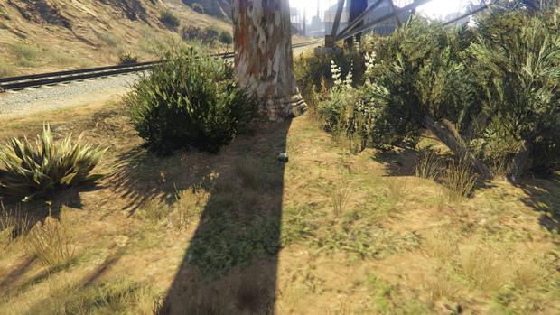 GTA Online - Planta de peyote #68