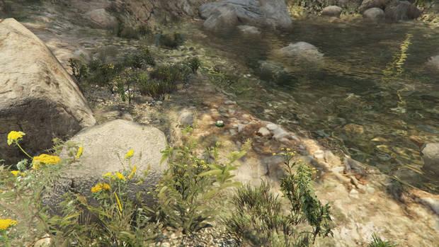 GTA Online - Planta de peyote #73