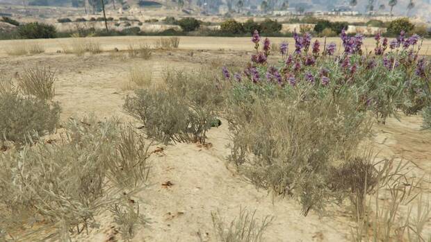 GTA Online - Planta de peyote #56