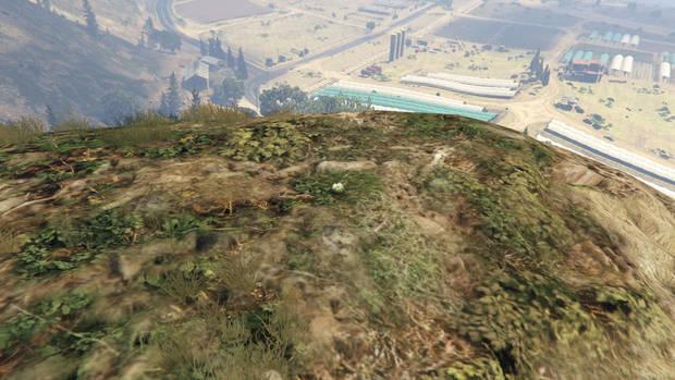 GTA Online - Planta de peyote #76
