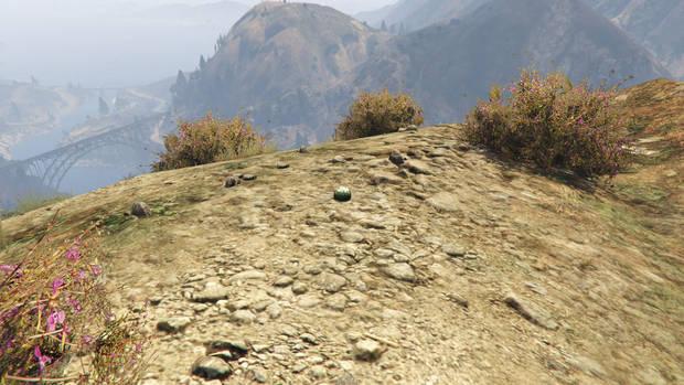 GTA Online - Planta de peyote #58