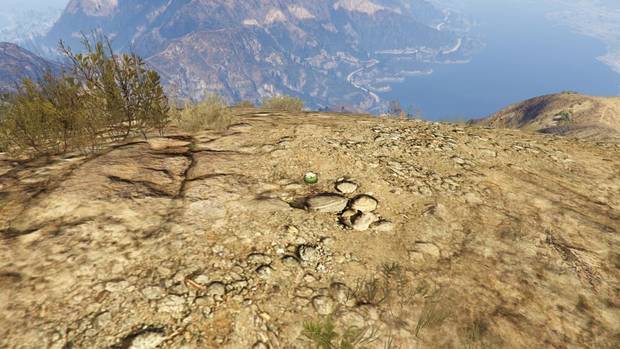 GTA Online - Planta de peyote #59