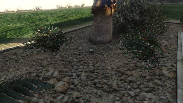 GTA Online - Planta de peyote #01