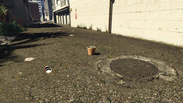 GTA Online - Planta de peyote #23