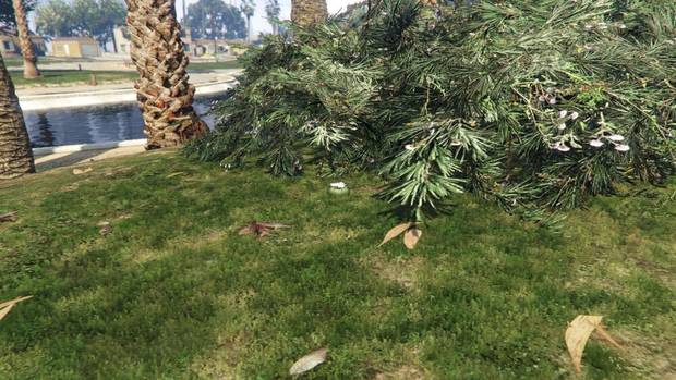 GTA Online - Planta de peyote #27
